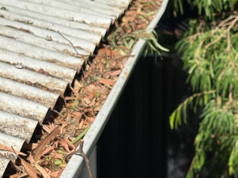 Westside Roof Cleaning and Soft Wash