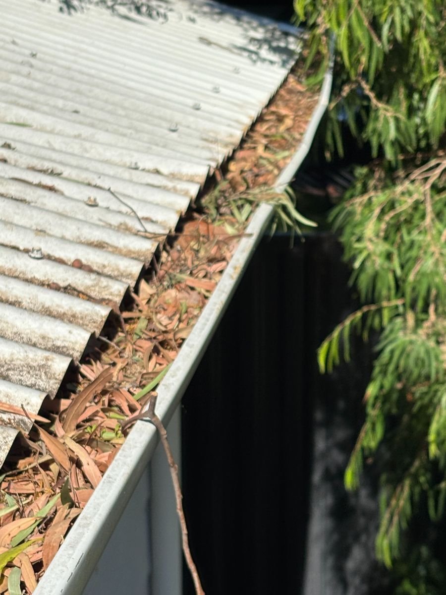 Westside Roof Cleaning and Soft Wash