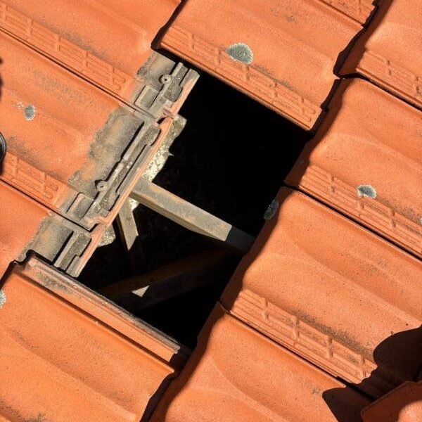 Roof Restorations