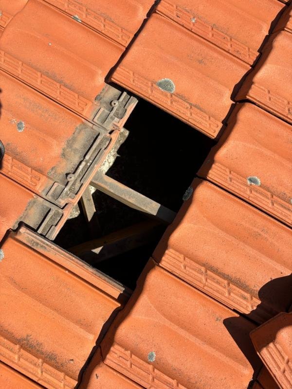 Roof Restorations
