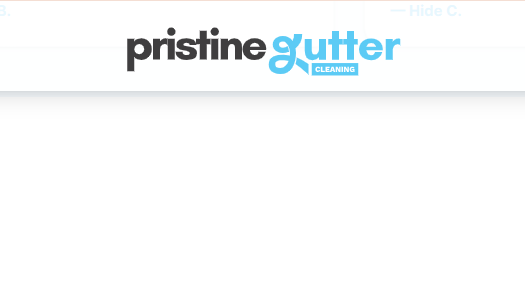 Pristine Gutter Cleaning